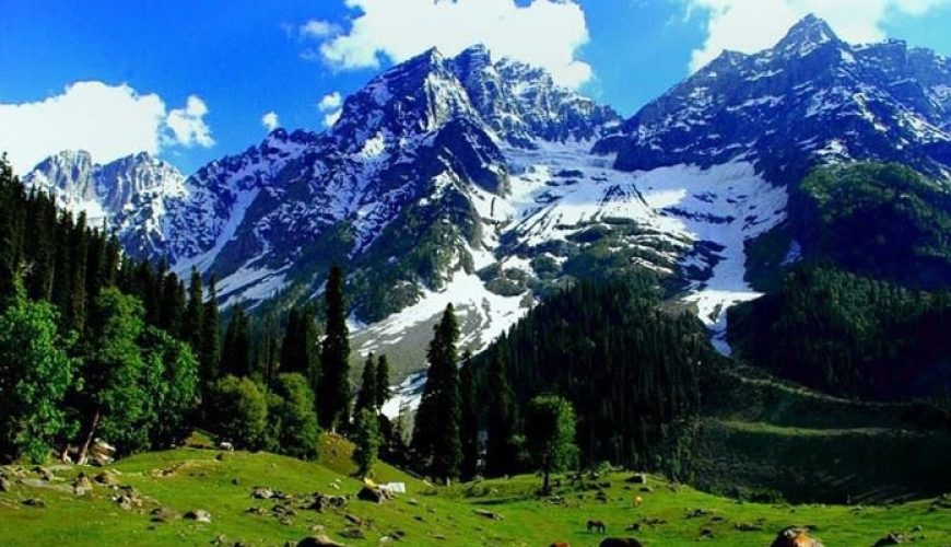 Kashmir Honeymoon Tour Packages